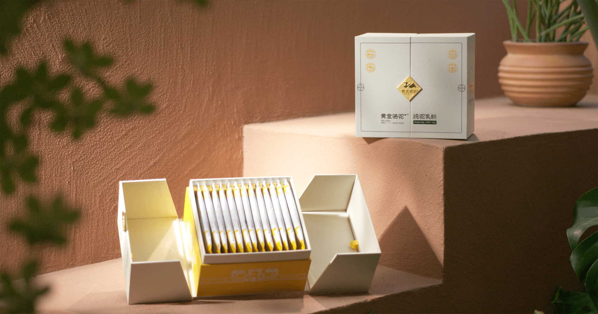 定位小众高端乳粉，AG贵宾会推出驼奶品牌“黄金骆驼+”，角逐乳品新市场！
